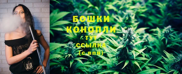 дмт Лагань