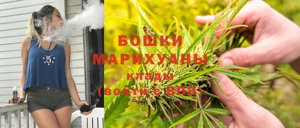 дмт Лагань