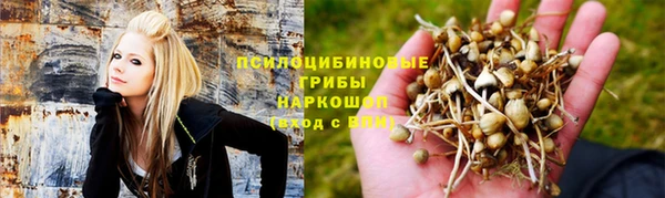 кокаин перу Ладушкин