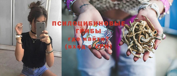 дмт Лагань