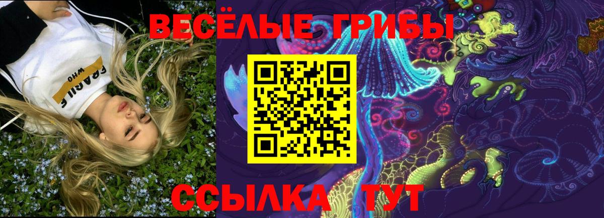 Галлюциногенные грибы мухоморы Узловая