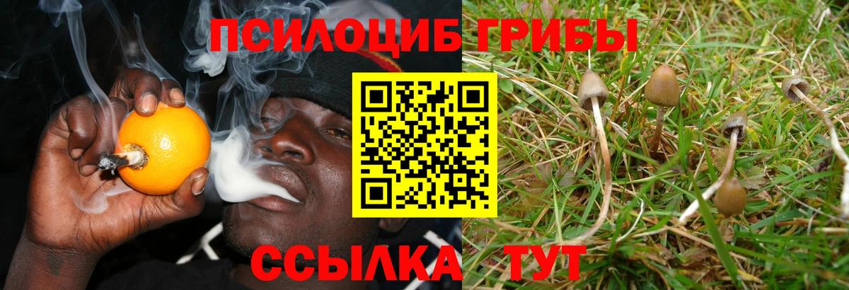 Псилоцибиновые грибы мухоморы  Вход с VPN  Узловая 