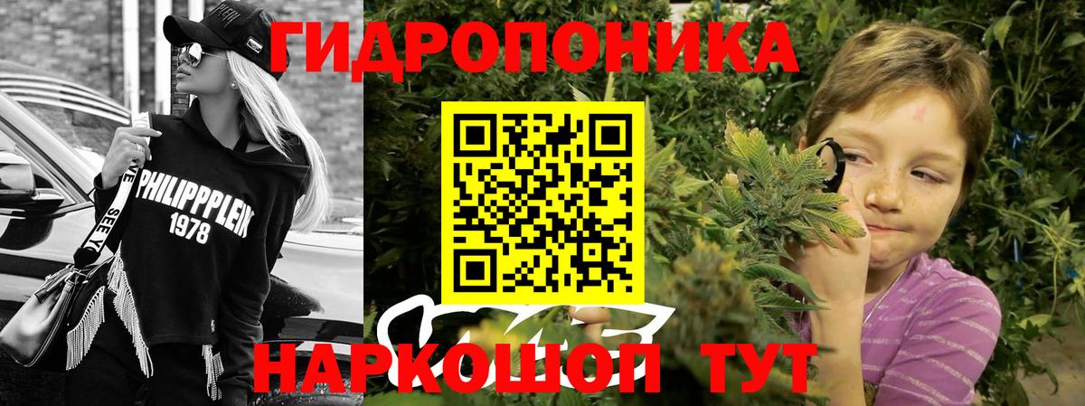 МАРИХУАНА план Узловая